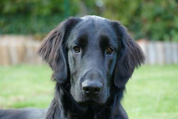 Fotochallange Nr. 57     PORTRÄT.   Beendet!!!!!!!!-Beitrag-Bild