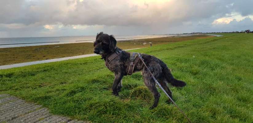 Fotochallenge Nr. 67: Euer Lieblingsbild-Beitrag-Bild