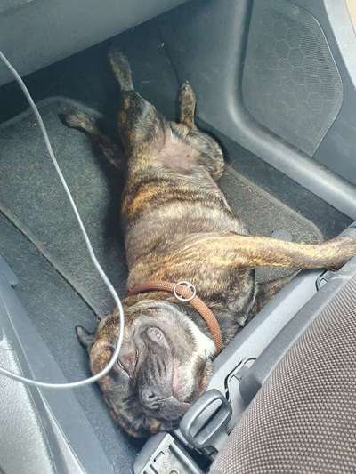 CHALLENGE NR. 18 - ON TOUR-Beitrag-Bild