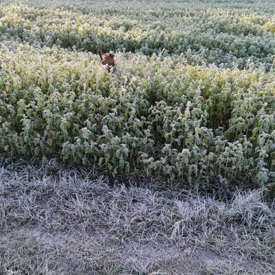 Challenge 21 - wo bin ich : )-Beitrag-Bild