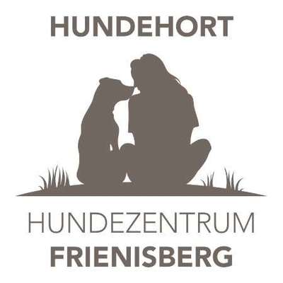 Hundepension Bild