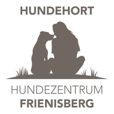 Hundepensionen-Hundezentrum Frienisberg GmbH-Bild