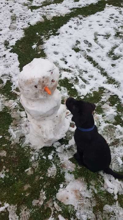 Dogorama Photo Challenge - Es wird nochmal kalt!-Beitrag-Bild