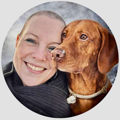 Hundeschulen-Erster Wurf Hundeschule-Bild