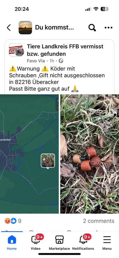 Giftköder-Giftköder (Wurst mit Schrauben)-Bild