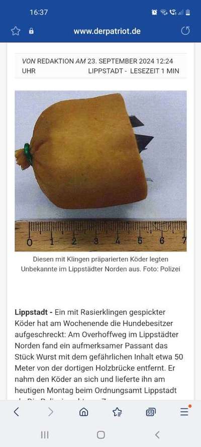 Giftköder-Wurst mit Rasierklingen-Bild