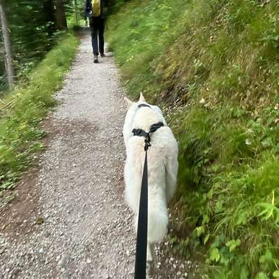 aktuelles Foto Gruppe Wandern und Outdoor