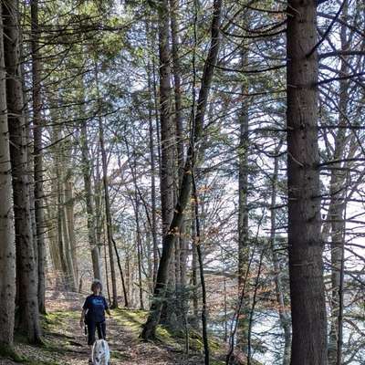 aktuelles Foto Gruppe Wandern und Outdoor