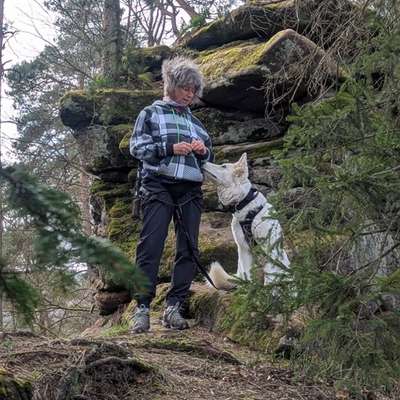 aktuelles Foto Gruppe Wandern und Outdoor