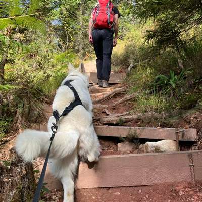 aktuelles Foto Gruppe Wandern und Outdoor