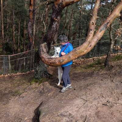 aktuelles Foto Gruppe Wandern und Outdoor