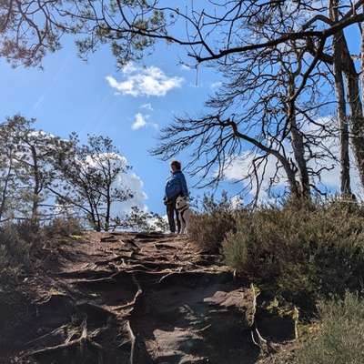 aktuelles Foto Gruppe Wandern und Outdoor