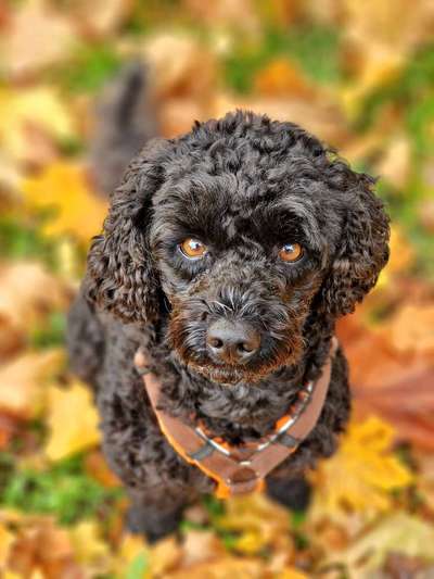 Zeigt eure Portraits-Beitrag-Bild