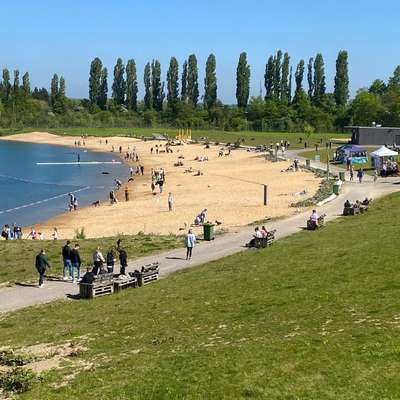 Hundeauslaufgebiet-Hundestrand Köln-Bild