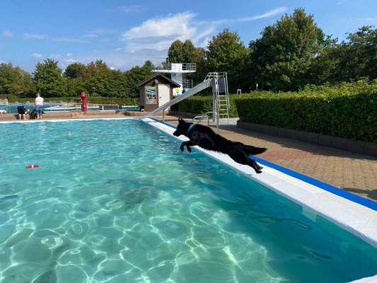 Fotochallenge Nr. 52 „Spring!“-Beitrag-Bild