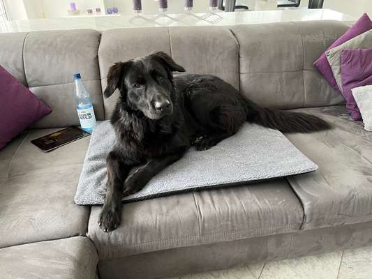 Brüder und Schwestern gesucht!!!-Beitrag-Bild