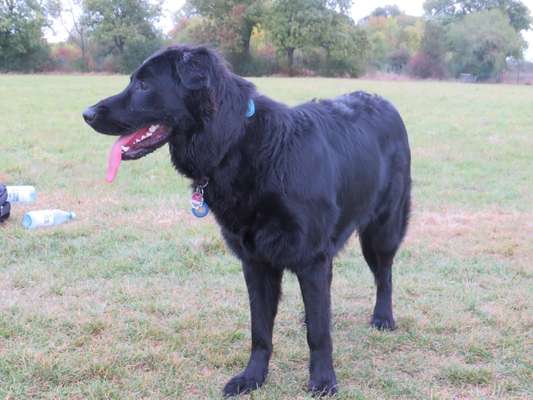 Brüder und Schwestern gesucht!!!-Beitrag-Bild