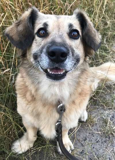 Das beste grinsefoto-Beitrag-Bild