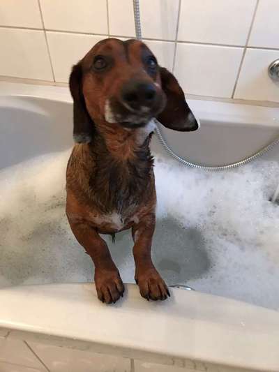 Foto Challenge - BEENDET - bitte aktuelle Challenge nutzen-Beitrag-Bild