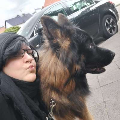 Hundetreffen-Hundeauslaufplatz Treffen-Profilbild