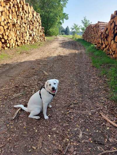 30. Collagen Challenge - Wege/Straßen-Beitrag-Bild