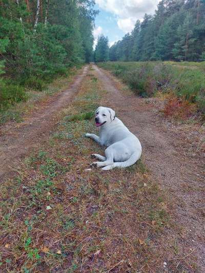 30. Collagen Challenge - Wege/Straßen-Beitrag-Bild
