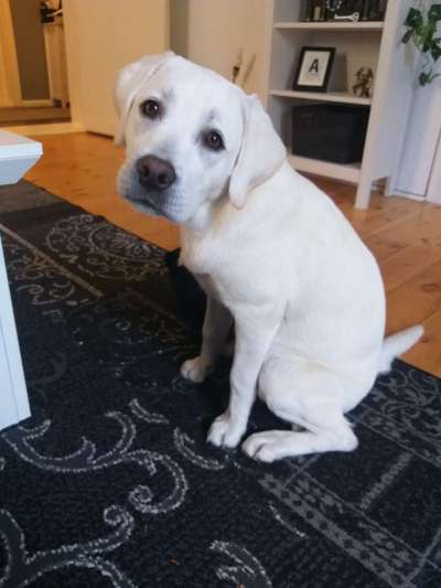 32. Collagen Challenge - eure liebsten gestellten Fotos-Beitrag-Bild