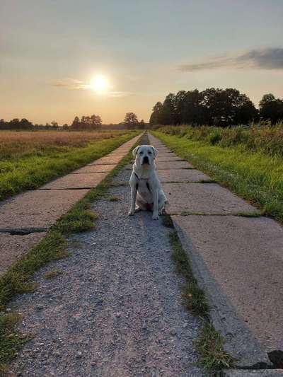 30. Collagen Challenge - Wege/Straßen-Beitrag-Bild