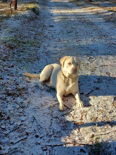 30. Collagen Challenge - Wege/Straßen-Beitrag-Bild