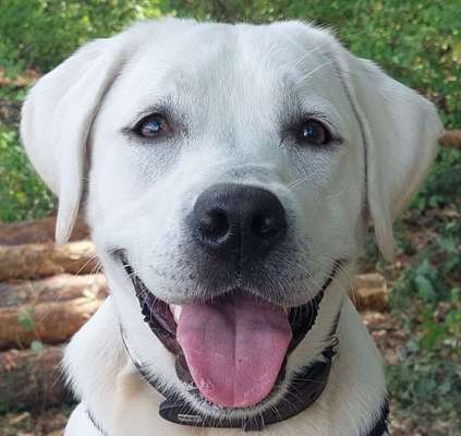 Fotochallange Nr. 57     PORTRÄT.   Beendet!!!!!!!!-Beitrag-Bild