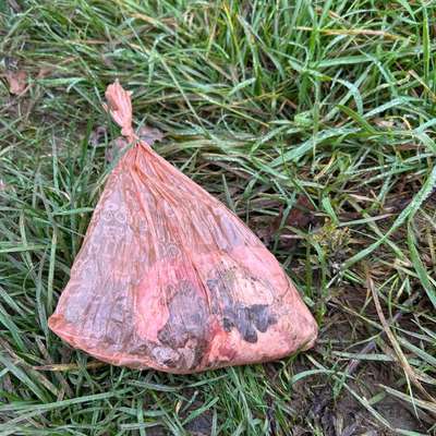 Giftköder-Giftköder-Bild