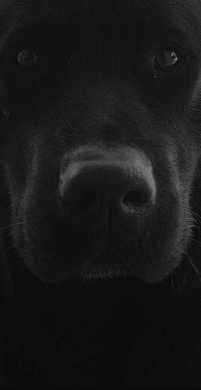 Foto-Challenge 76: Foto in Schwarz-Weiss-Beitrag-Bild