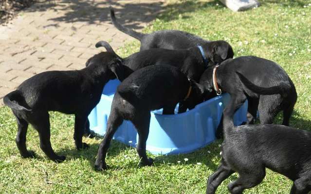 FOTOCHALLANGE NR.71 BADEFREUDE-Beitrag-Bild