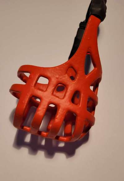 Wie sitzt mein Maulkorb / Maulkorb-Beratung-Beitrag-Bild