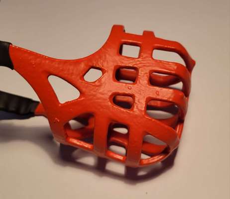 Wie sitzt mein Maulkorb / Maulkorb-Beratung-Beitrag-Bild