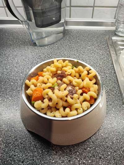 Zeigt her Eure Futternäpfe-Beitrag-Bild