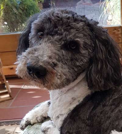 Fotochallange Nr. 57     PORTRÄT.   Beendet!!!!!!!!-Beitrag-Bild