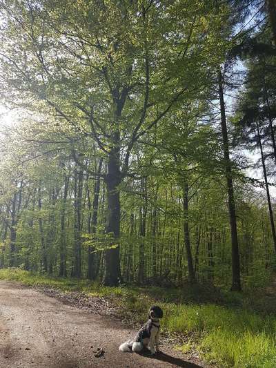 30. Collagen Challenge - Wege/Straßen-Beitrag-Bild