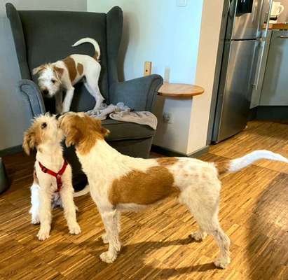 Handy-Foto-Challange Nr. 8-Beitrag-Bild