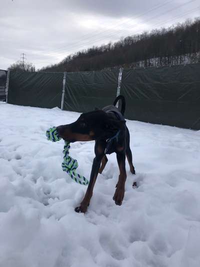 Zeigt her euer Lieblingsspielzeug-Beitrag-Bild