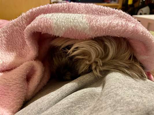 Fotochallange - Eingekugelt-Beitrag-Bild