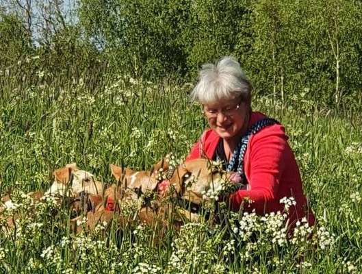 Die Dogorama Monats Challenge "Es grünt und blüht"-Beitrag-Bild