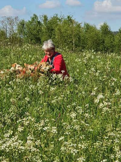 Die Dogorama Monats Challenge "Es grünt und blüht"-Beitrag-Bild