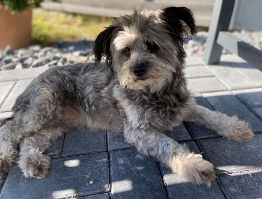 Lieblingsbild :D-Beitrag-Bild