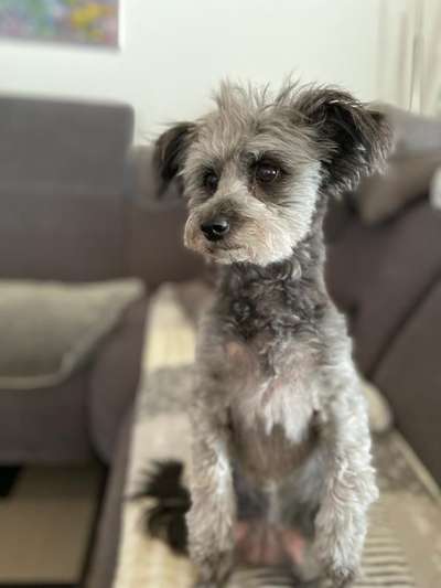 Lieblingsbild :D-Beitrag-Bild