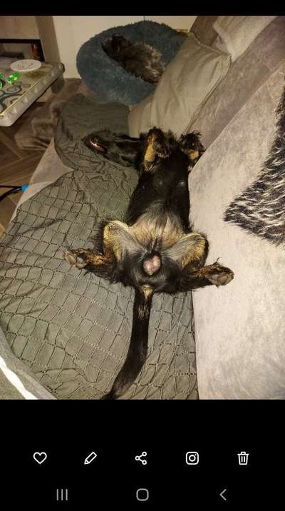 Die unbequemsten und lustigsten Schlafpositionen-Beitrag-Bild