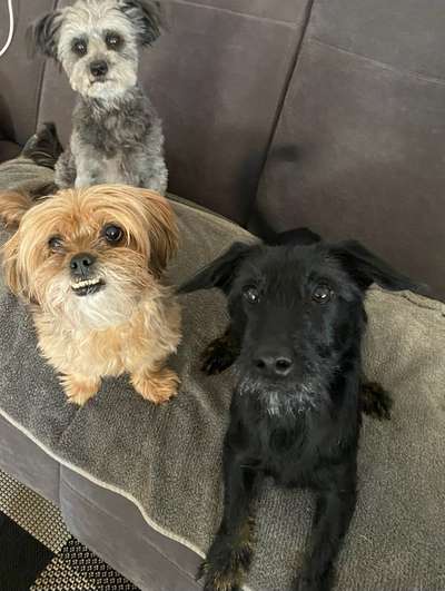 Handy-Foto-Challange Nr. 8-Beitrag-Bild