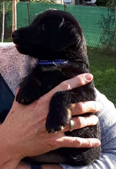 Vorher.... Nachher-Beitrag-Bild