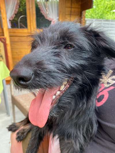 Lieblingsbild :D-Beitrag-Bild