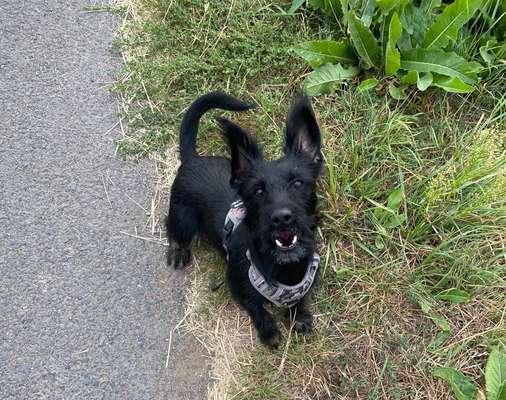 Handy-Foto Challange Nr. 10-Beitrag-Bild